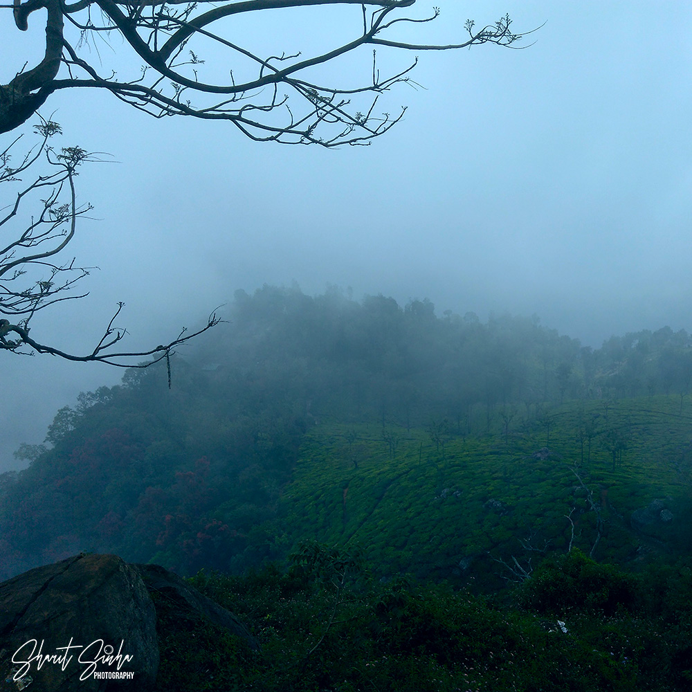 View from Dolphin's Nose