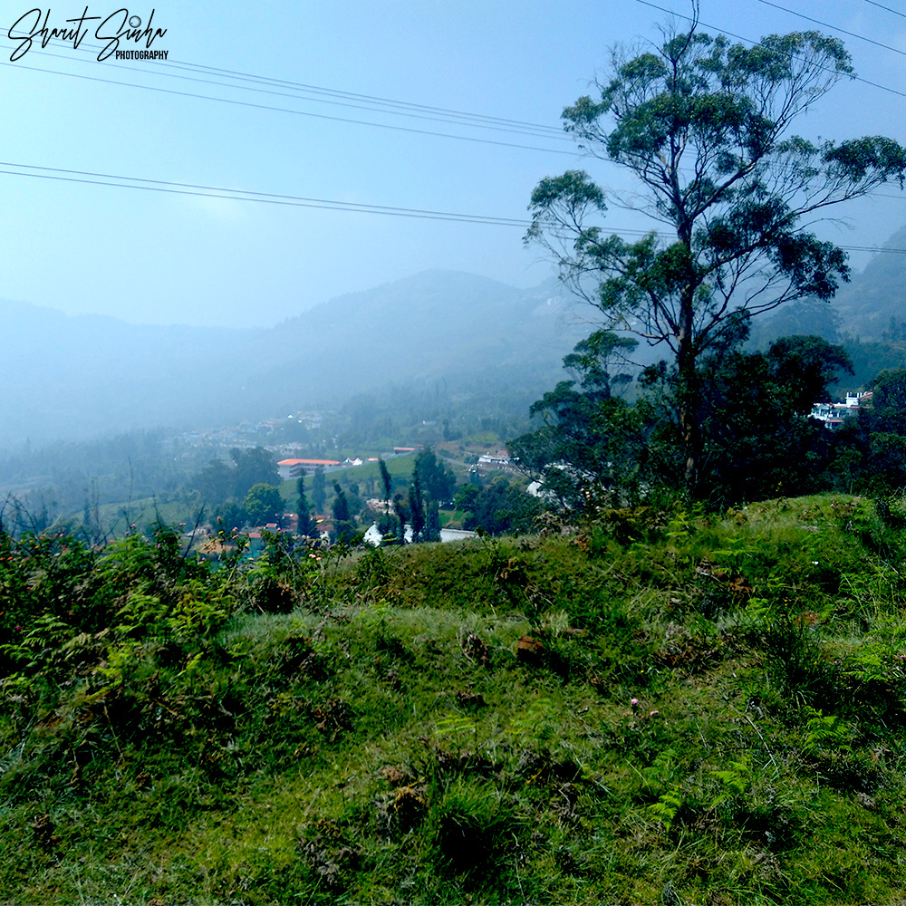 The valley from Ooty Toy Train