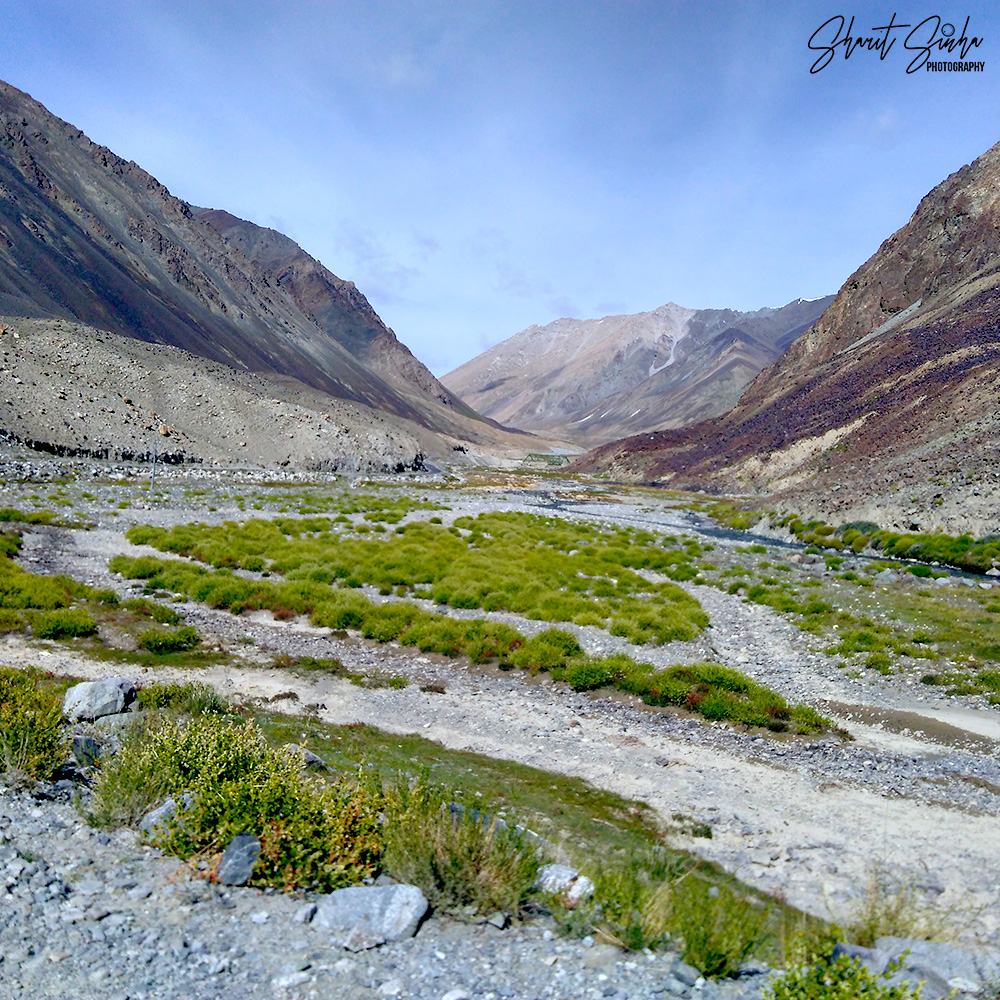 Green meadows near Chang La