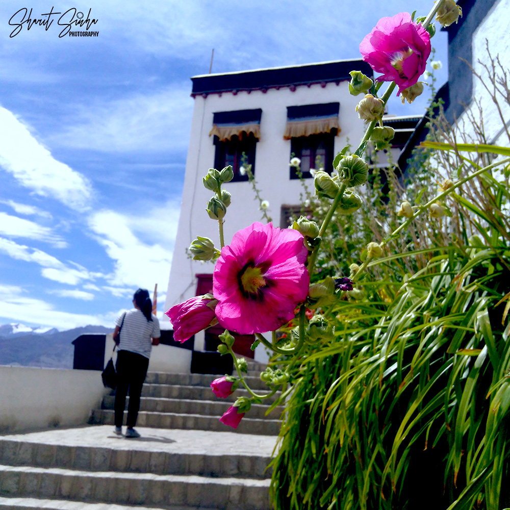 Onwards to Thiksay temples