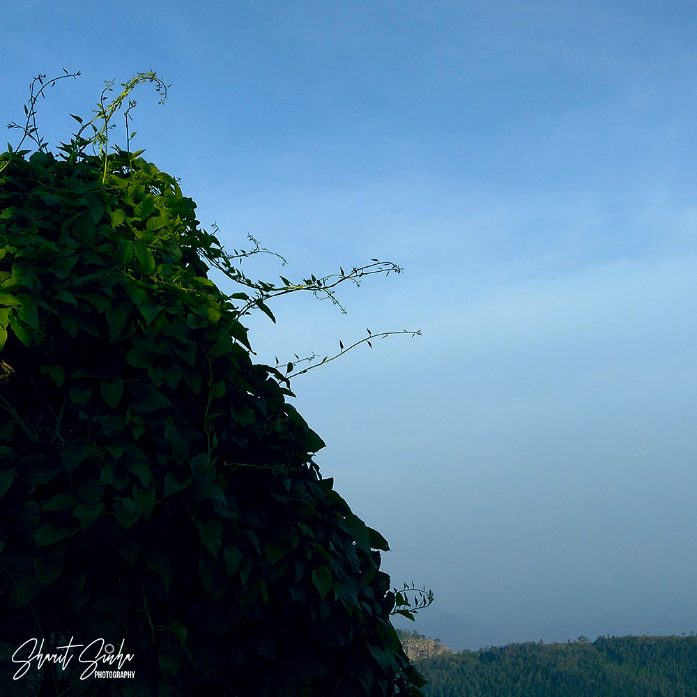 Pagoda Point