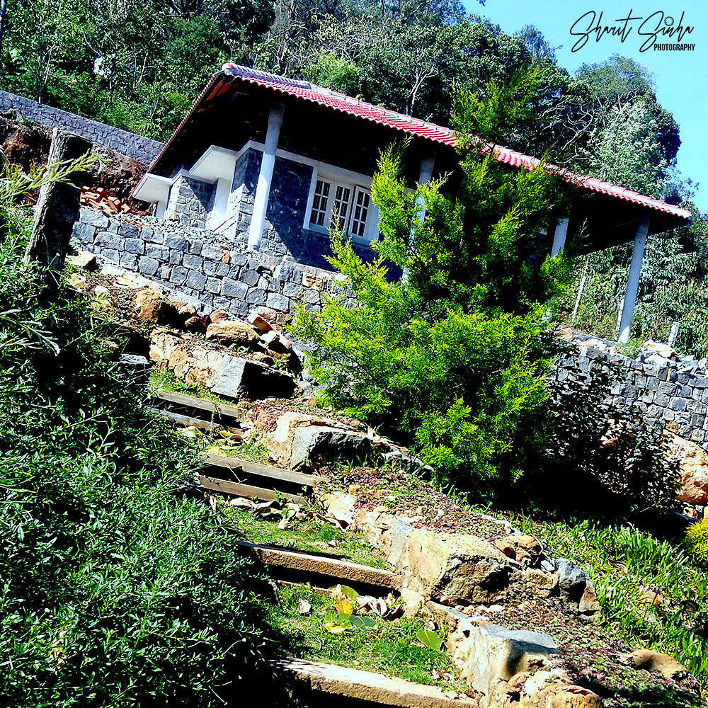 Fernhill Cottage